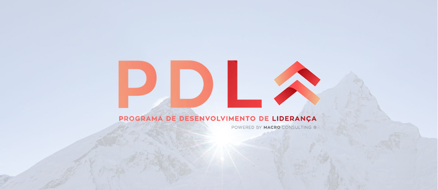 Desenvolvimento De Lideran a Macro Consulting Cultura